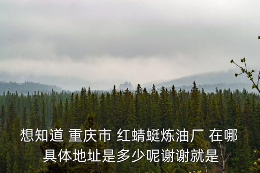 想知道 重慶市 紅蜻蜓煉油廠 在哪 具體地址是多少呢謝謝就是