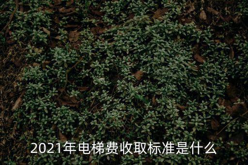 2021年電梯費(fèi)收取標(biāo)準(zhǔn)是什么