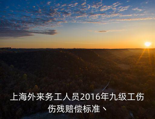 上海外來務工人員2016年九級工傷傷殘賠償標準丶