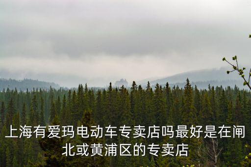 上海有愛瑪電動車專賣店嗎最好是在閘北或黃浦區的專賣店