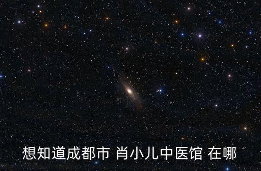 張曉華 成都市，成都市青羊?qū)嶒?yàn)聯(lián)合中學(xué)成立于哪一年