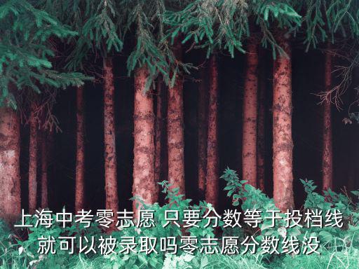 上海中考零志愿 只要分?jǐn)?shù)等于投檔線就可以被錄取嗎零志愿分?jǐn)?shù)線沒