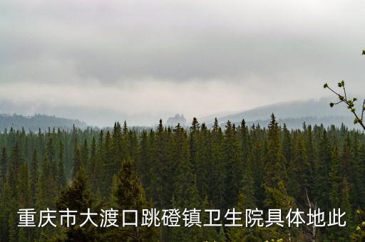 重慶市大渡口跳磴鎮(zhèn)衛(wèi)生院具體地此