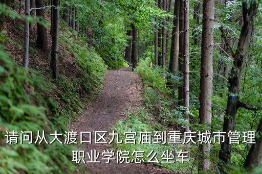 請問從大渡口區九宮廟到重慶城市管理職業學院怎么坐車