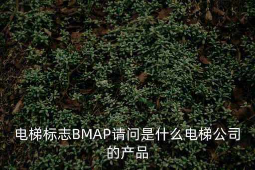 上海市電梯使用標(biāo)記，電梯口這樣的標(biāo)識怎么搞這圖片我是在網(wǎng)上看到的我是物業(yè)公司