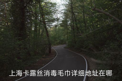 上海卡露絲消毒毛巾詳細地址在哪