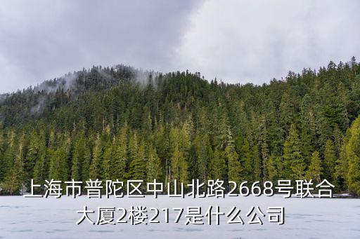 上海市普陀區中山北路2668號聯合大廈2樓217是什么公司