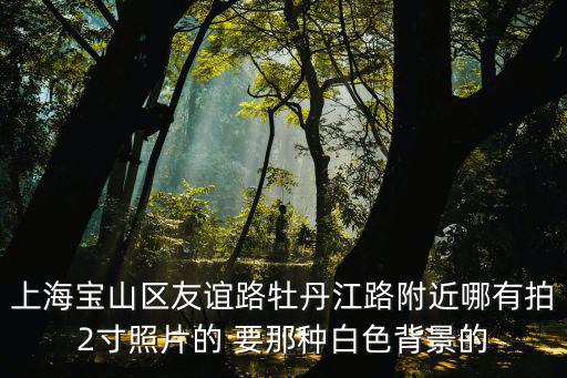 上海寶山區友誼路牡丹江路附近哪有拍2寸照片的 要那種白色背景的