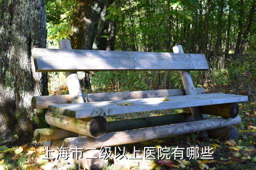 上海市二級以上醫院有哪些