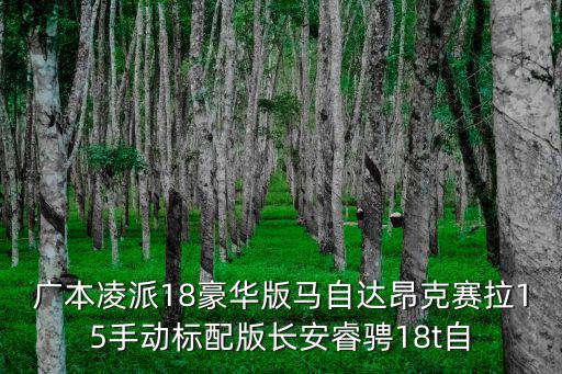 廣汽本田凌派東莞報(bào)價(jià)及圖片欣賞，廣本凌派導(dǎo)航屏幕得多少錢