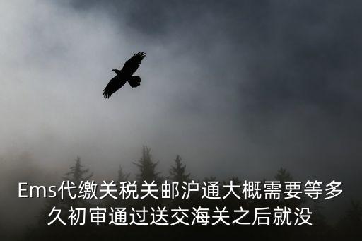 Ems代繳關稅關郵滬通大概需要等多久初審通過送交海關之后就沒