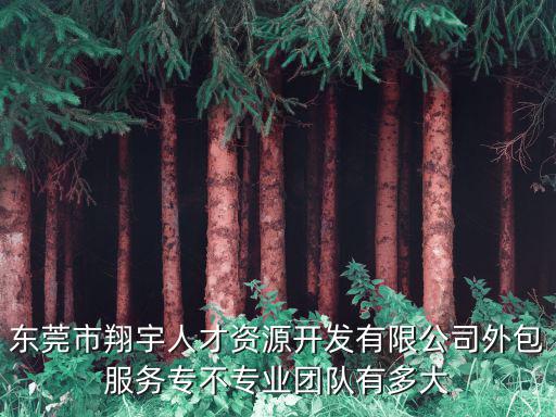 東莞市翔宇人才資源開發(fā)有限公司外包服務(wù)專不專業(yè)團(tuán)隊(duì)有多大