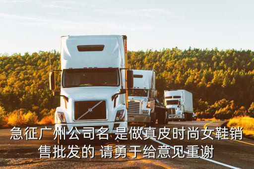急征廣州公司名 是做真皮時(shí)尚女鞋銷售批發(fā)的 請勇于給意見重謝