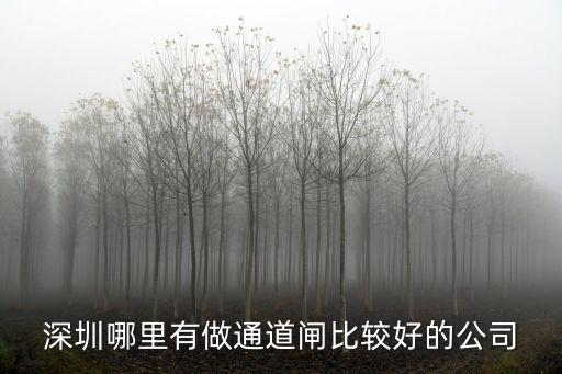 深圳哪里有做通道閘比較好的公司