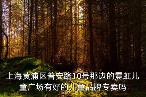 上海黃浦區(qū)普安路10號(hào)那邊的霓虹兒童廣場(chǎng)有好的兒童品牌專(zhuān)賣(mài)嗎
