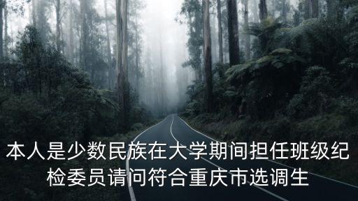 本人是少數民族在大學期間擔任班級紀檢委員請問符合重慶市選調生
