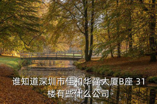 深圳宏旺通科技有限公司，誰知道深圳市佳和華強大廈B座 31樓有些什么公司