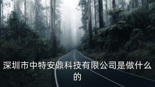 深圳市尚鼎芯科技，深圳市南山區科技中一路華強新發展大樓12樓是什么公司