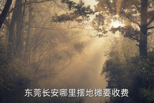 東莞長(zhǎng)安哪里擺地?cái)傄召M(fèi)