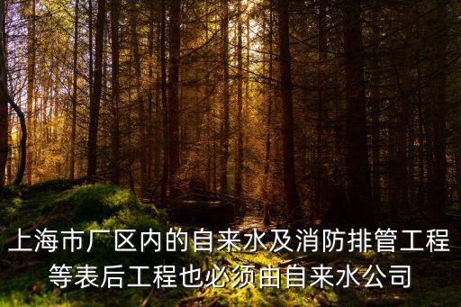 上海市廠區內的自來水及消防排管工程等表后工程也必須由自來水公司