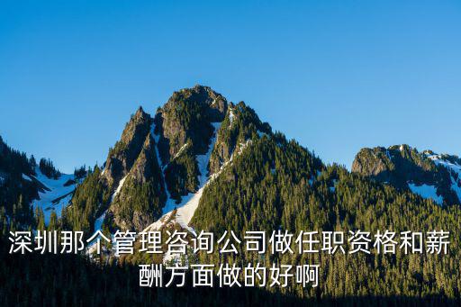 深圳那個(gè)管理咨詢公司做任職資格和薪酬方面做的好啊