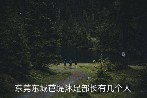 東莞東城芭堤沐足部長有幾個人
