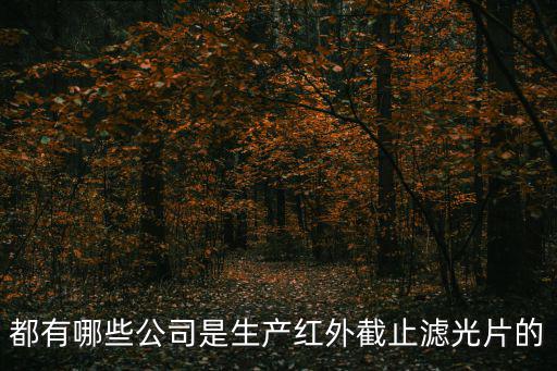 都有哪些公司是生產紅外截止濾光片的