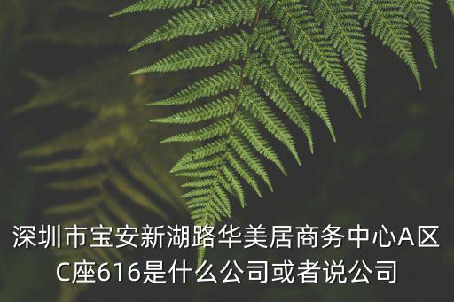 深圳巖名商貿(mào)有限公司，深圳市寶安新湖路華美居商務(wù)中心A區(qū)C座616是什么公司或者說(shuō)公司