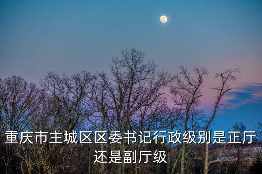 重慶市主城區(qū)區(qū)委書(shū)記行政級(jí)別是正廳還是副廳級(jí)