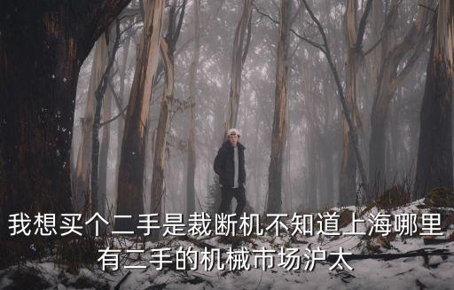 深圳二手裁斷機，我想買個二手是裁斷機不知道上海哪里有二手的機械市場滬太