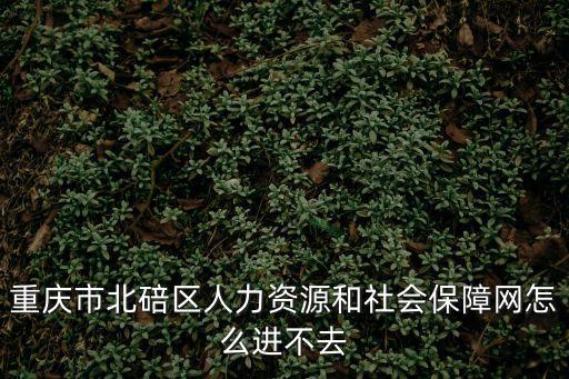 重慶市北碚區人力，重慶市北碚區人力資源和社會保障網怎么進不去