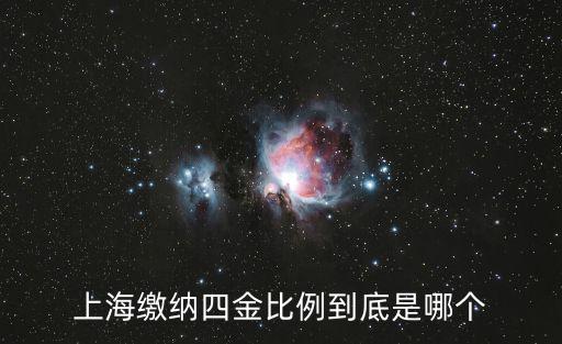 上海市工傷繳費比例，上海市的五險與三險中提到的工傷醫療養老交費參數是一樣的嗎