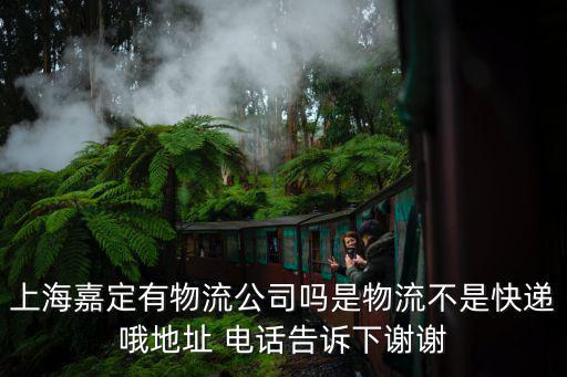 上海市嘉定區(qū)鴻鳥物流，上海市嘉定區(qū)墨玉路998號(hào)是什么公司