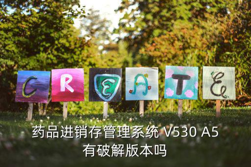 藥品進銷存管理系統 V530 A5有破解版本嗎