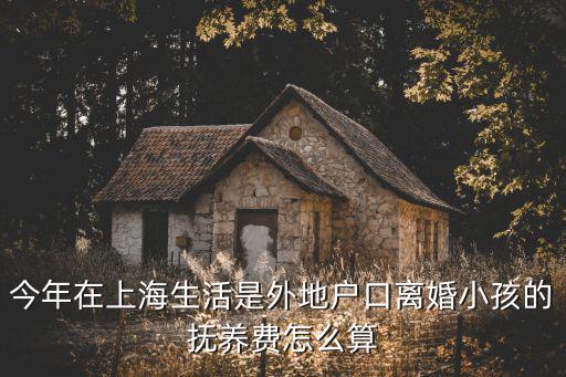 今年在上海生活是外地戶口離婚小孩的撫養費怎么算