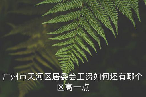 廣州村干部工資，請問廣東省河源市龍川縣山池村主任的工資是多少