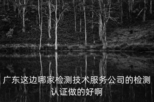 廣東這邊哪家檢測技術(shù)服務(wù)公司的檢測認(rèn)證做的好啊