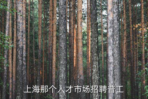 上海那個人才市場招聘普工
