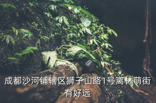 成都市獅子山路，成都獅子山在哪里