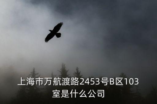 上海市萬航渡路2453號B區103室是什么公司