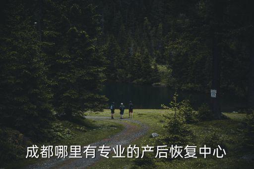 成都哪里有專業的產后恢復中心