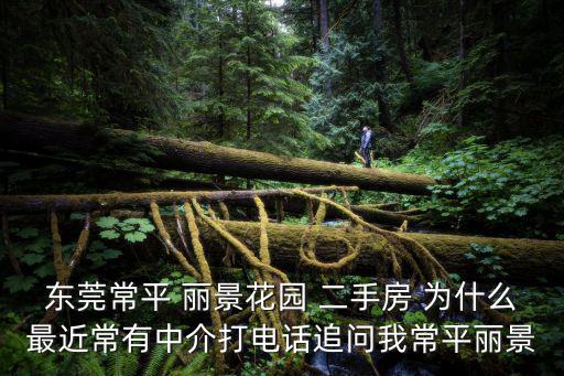 東莞常平中介，常平房產(chǎn)中介公司有沒(méi)有
