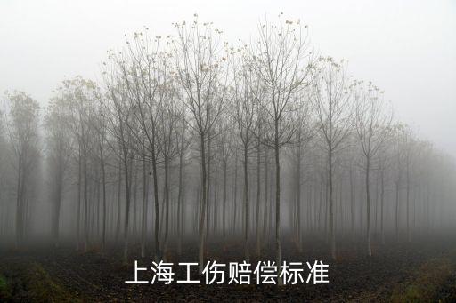 上海工傷賠償標(biāo)準(zhǔn)