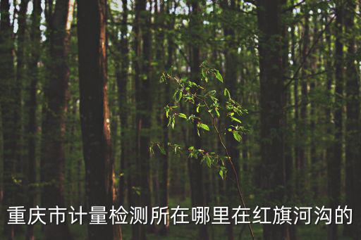 重慶市計(jì)量檢測(cè)所在哪里在紅旗河溝的