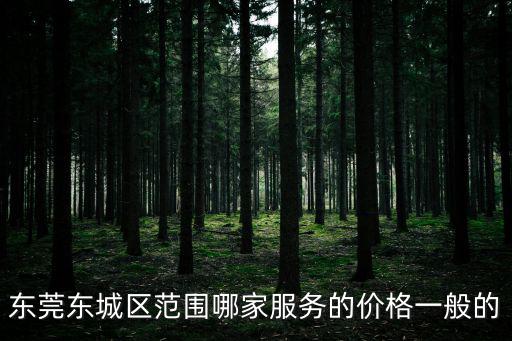 東莞東城區(qū)范圍哪家服務(wù)的價(jià)格一般的