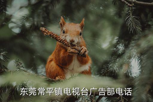 東莞常平鎮電視臺廣告部電話