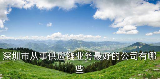 深圳市從事供應鏈業務最好的公司有哪些