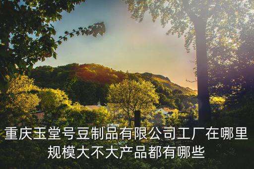 重慶玉堂號豆制品有限公司工廠在哪里規(guī)模大不大產(chǎn)品都有哪些