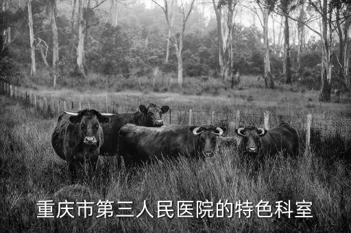 重慶市第三人民醫院的特色科室