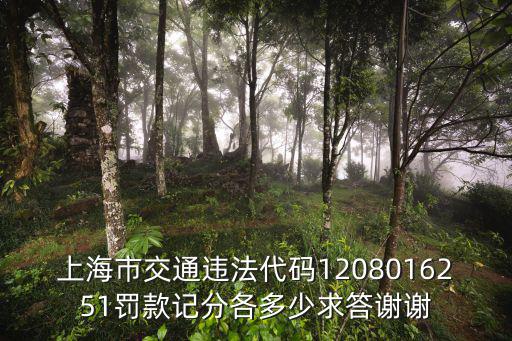 上海市交通違法代碼1208016251罰款記分各多少求答謝謝